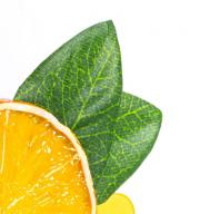 Lesezeichen in fröhlichem Design Fruitmark Orange
